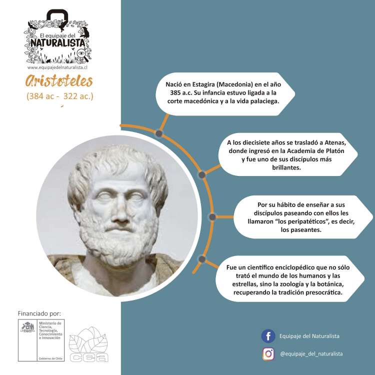 Tips-naturalistas_Aristoteles