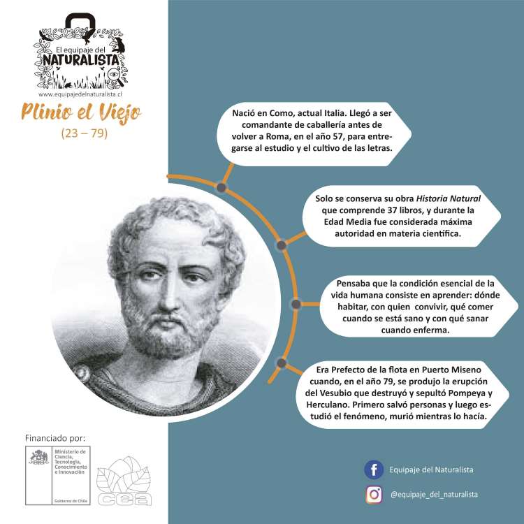 Tips-naturalistas_Plinio-el-viejo