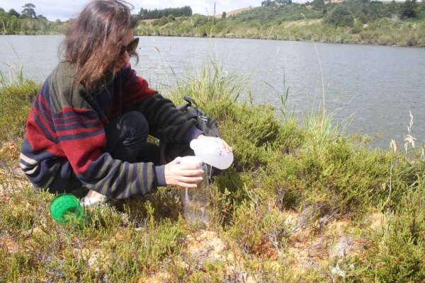 Zooplankton_Laguna-Chiloe_2016-(35)