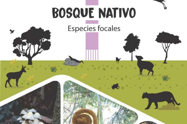 Cartilla bosque nativo